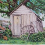Coloured Pencil